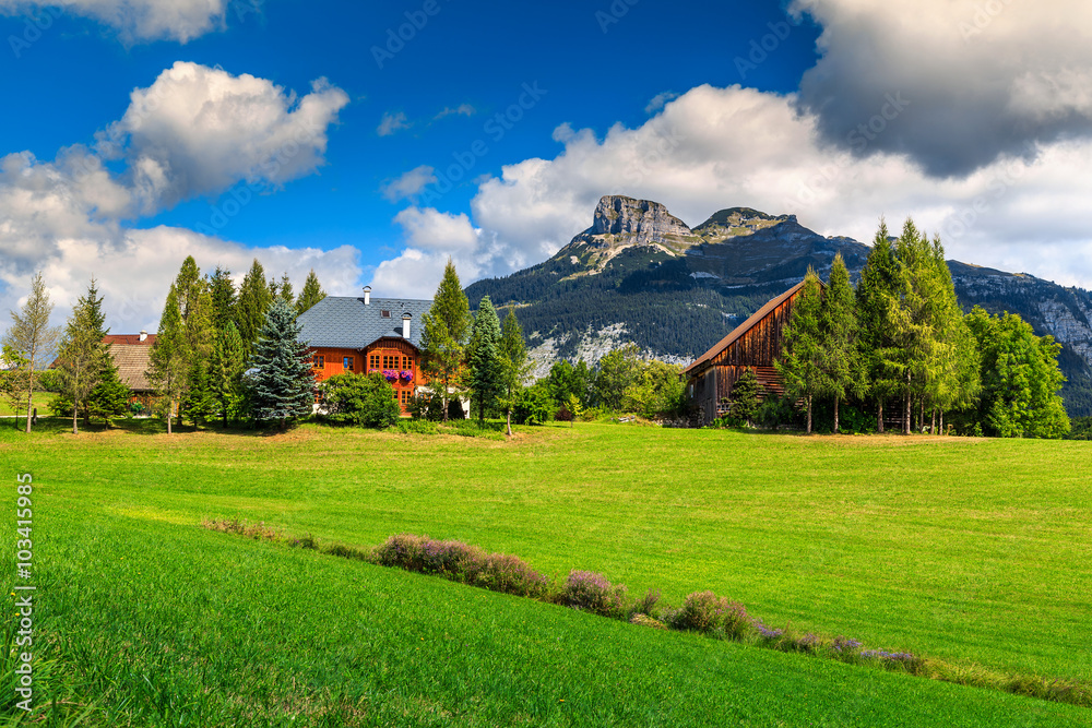 令人惊叹的绿色田野和高山农场，奥地利阿尔陶塞