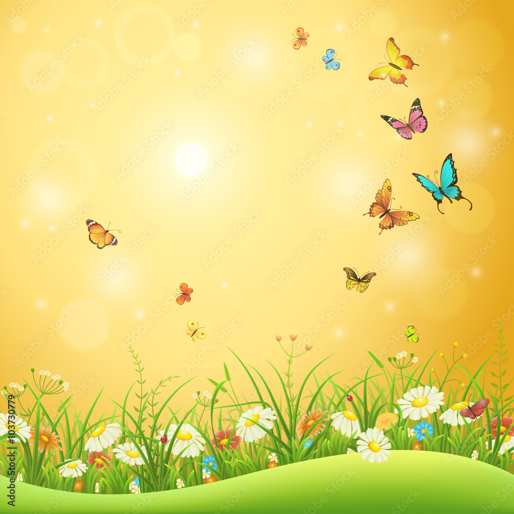 春天或夏天的花朵，绿草和蝴蝶，自然背景