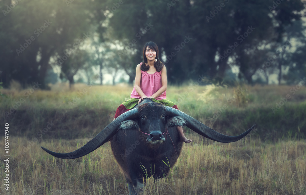 Asian woman (Thai) farmer with a buffalo in the field (Vintage color).