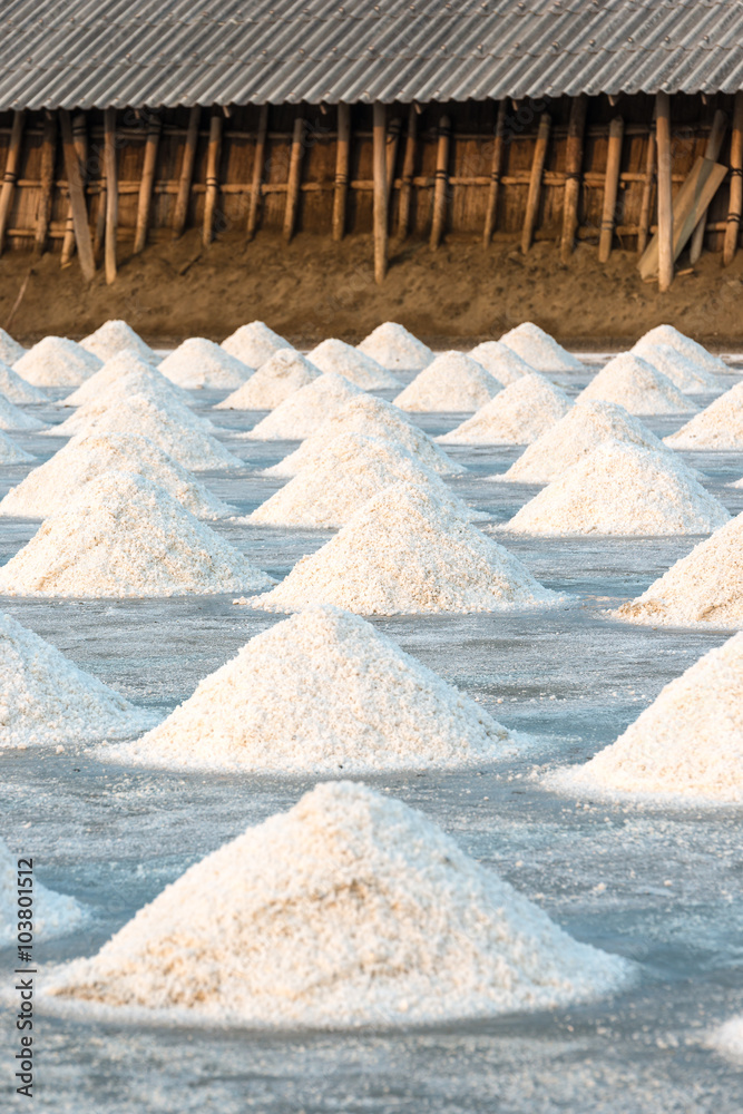 Salt farm, Food industry in Thailand