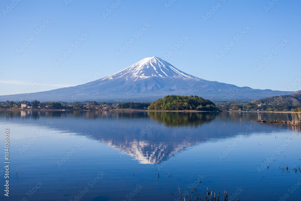 春季川口湖的富士山全景和倒影
