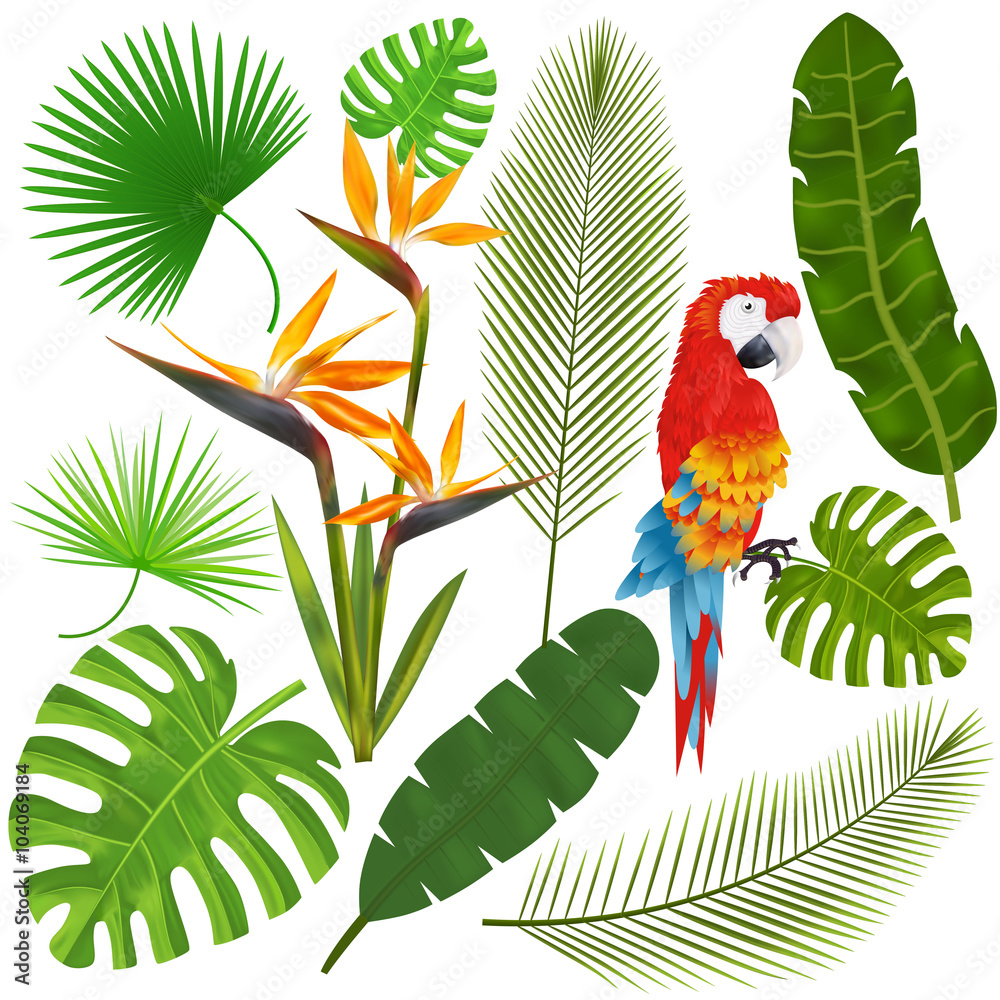 热带树叶、花朵和金刚鹦鹉矢量插图