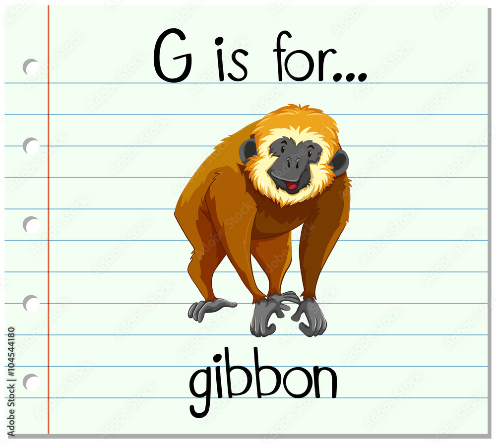 抽认卡字母G代表长臂猿
