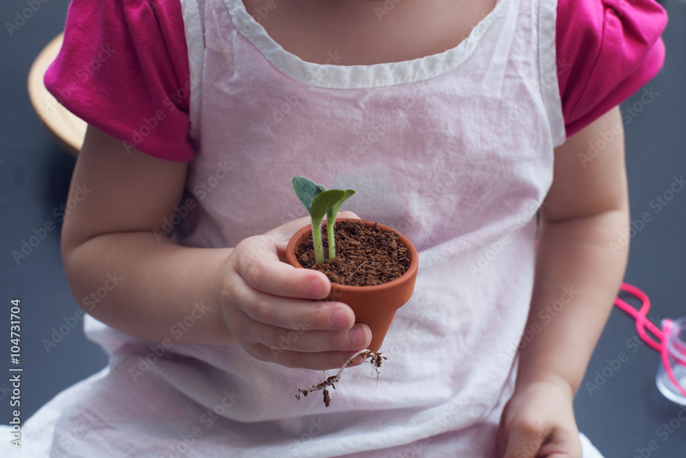 手里拿着小植物的小女孩