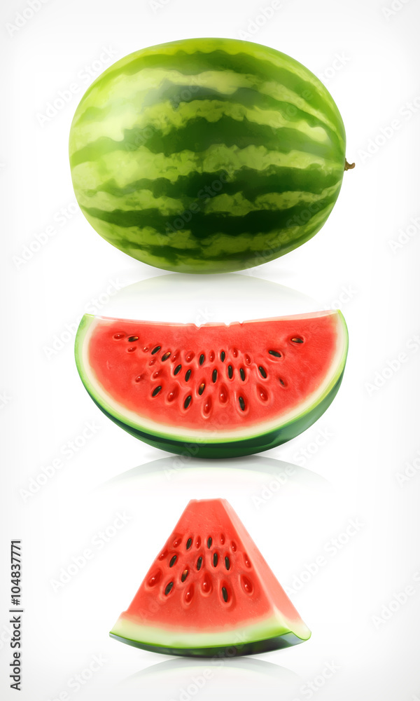 Watermelon, vector icons set