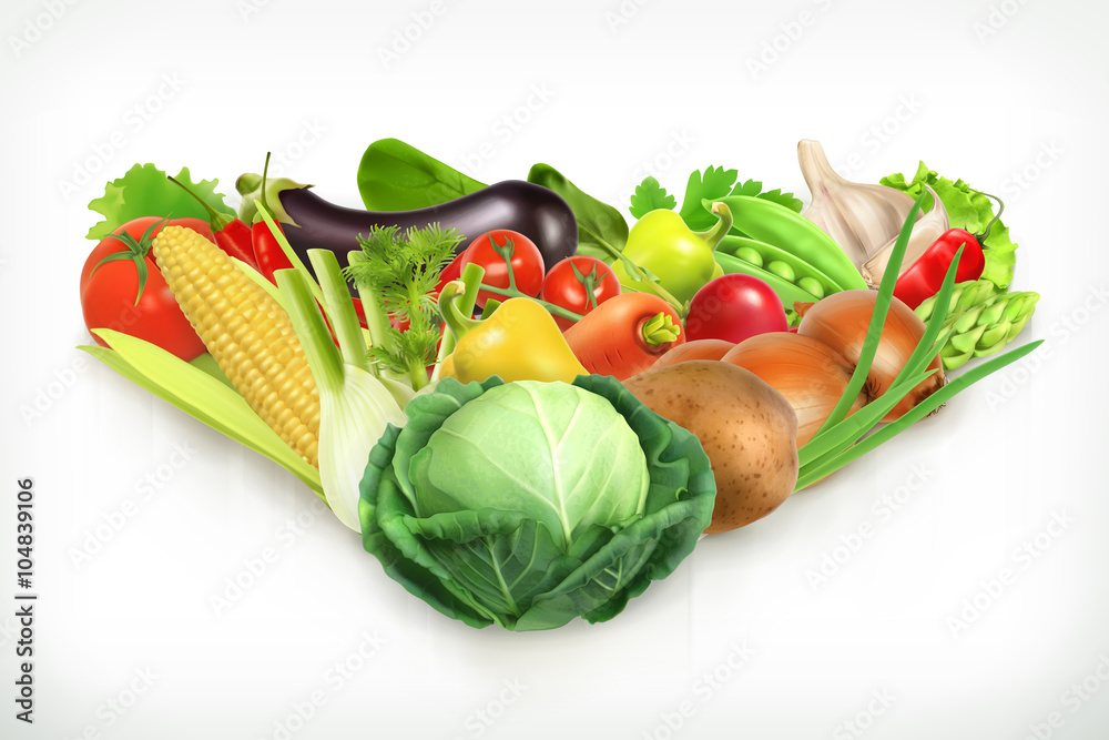 卷心菜，收获多汁和成熟的蔬菜矢量插图