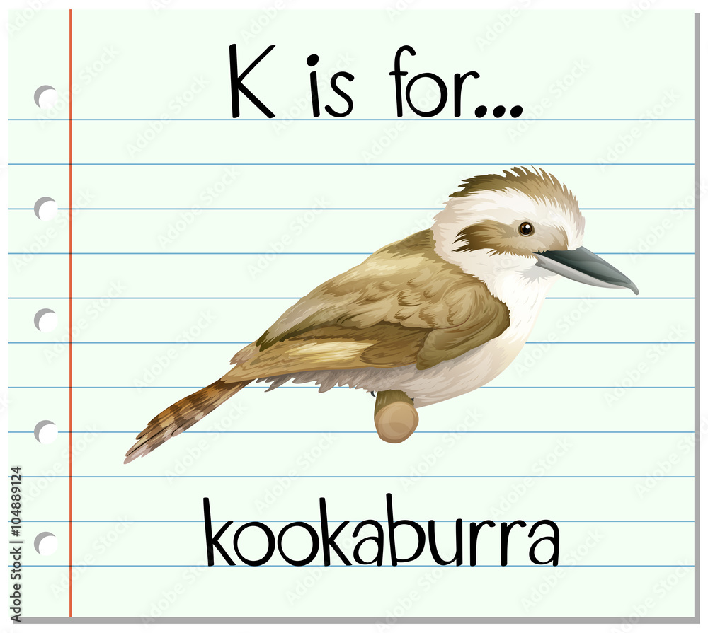 Flashcard letter K is for kookaburra