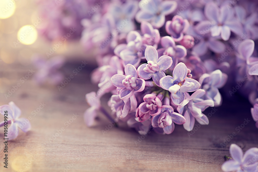 Lilac spring flowers bunch over wooden background