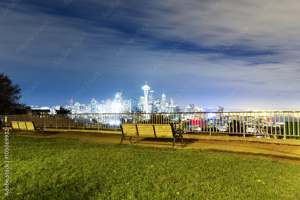 meadow with cityscape of seattle at night