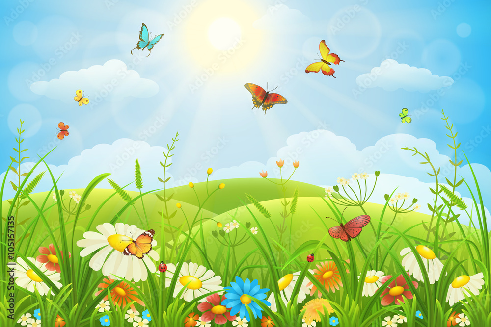 夏天或春天郁郁葱葱的草地上有五颜六色的花朵和蝴蝶