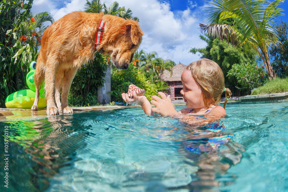 小孩子在游泳池里玩得很开心，训练金色拉布拉多寻回犬小狗——跳跃和跳水