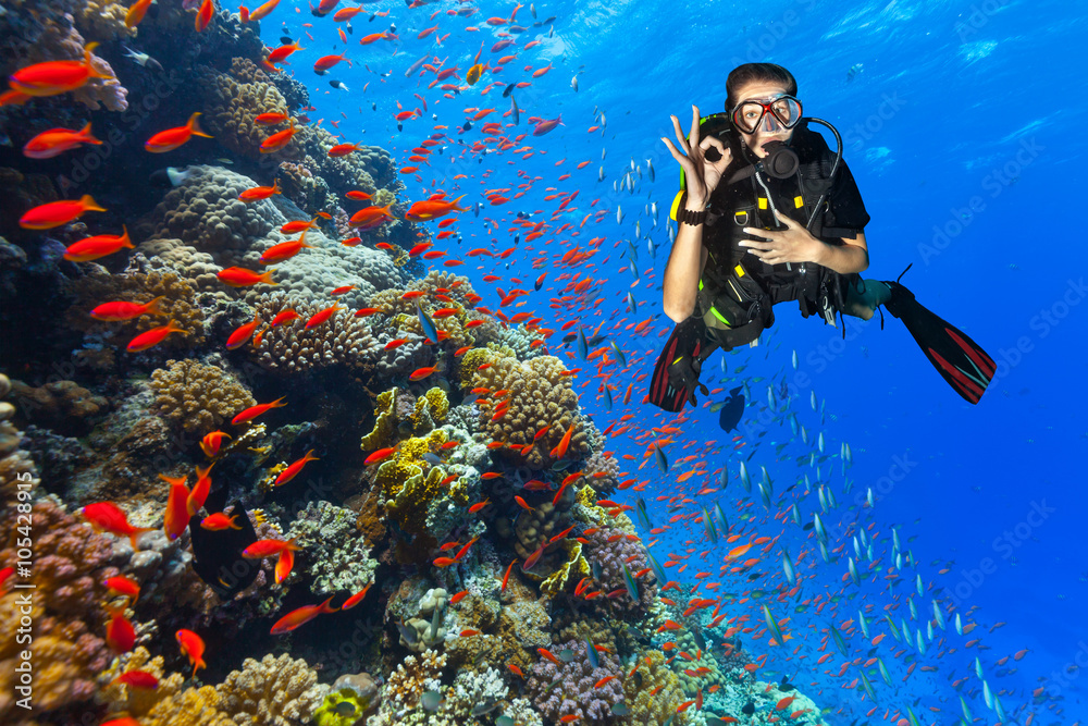 水肺潜水员探索显示良好迹象的珊瑚礁