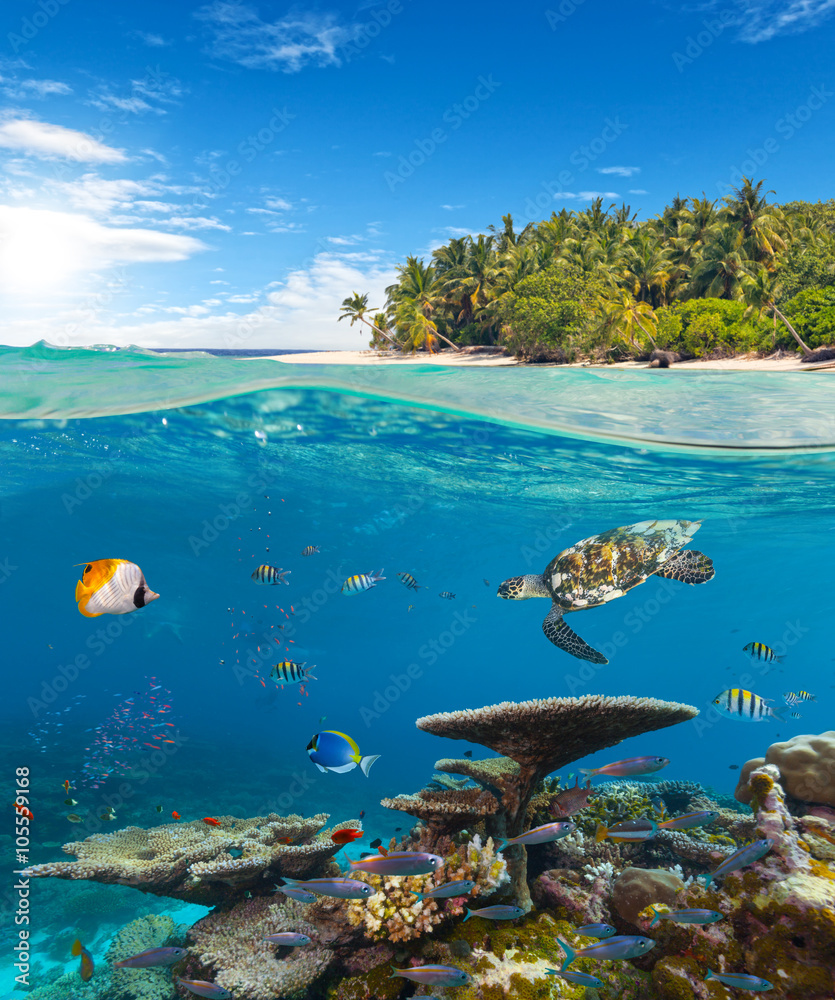 海底珊瑚礁与热带岛屿
