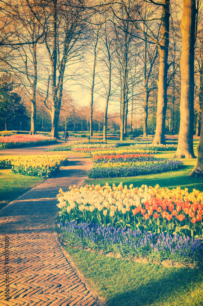 公园小巷和五彩花朵的春天景观