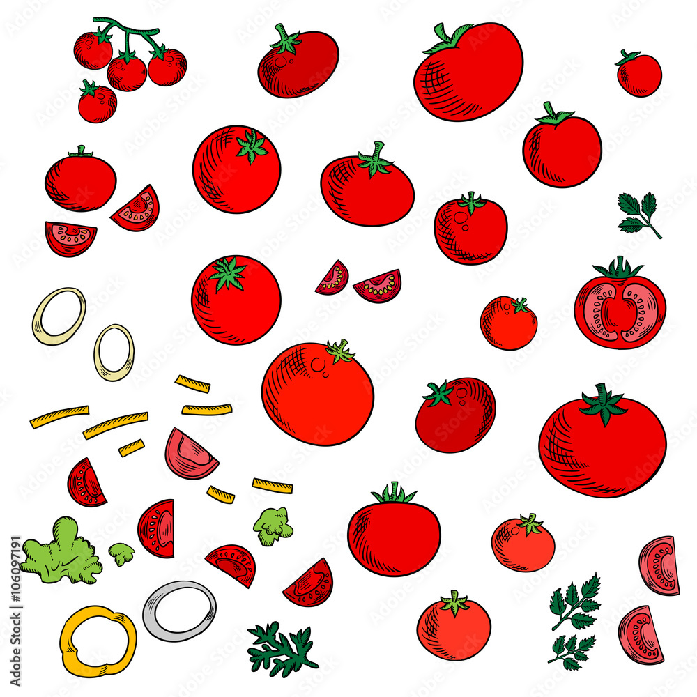 红色番茄蔬菜图标，带有甜樱桃番茄的枝条，欧芹和dill的绿色枝条，s