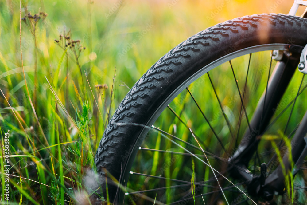 自行车车轮在夏天绿草如茵的草地上。日落日出