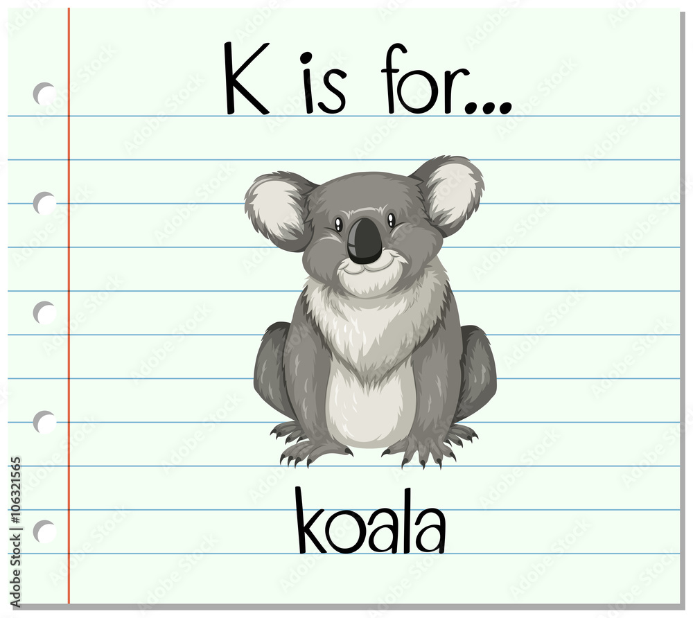 抽认卡字母K代表考拉