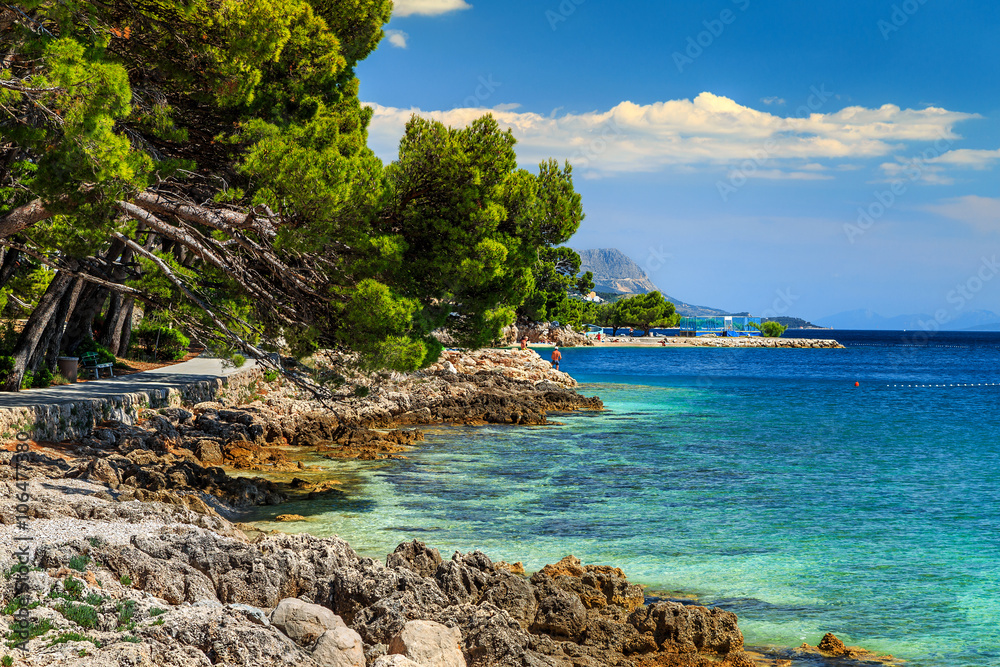 美丽的岩石海湾和海滩，布雷拉，达尔马提亚地区，克罗地亚，欧洲