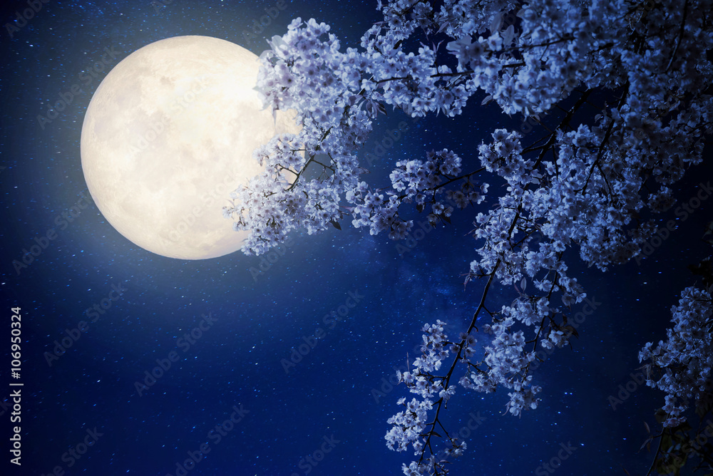 美丽的樱花（樱花），夜空中有银河之星，满月-复古风格