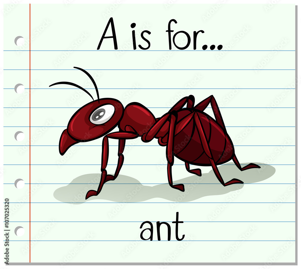 闪卡字母A代表蚂蚁