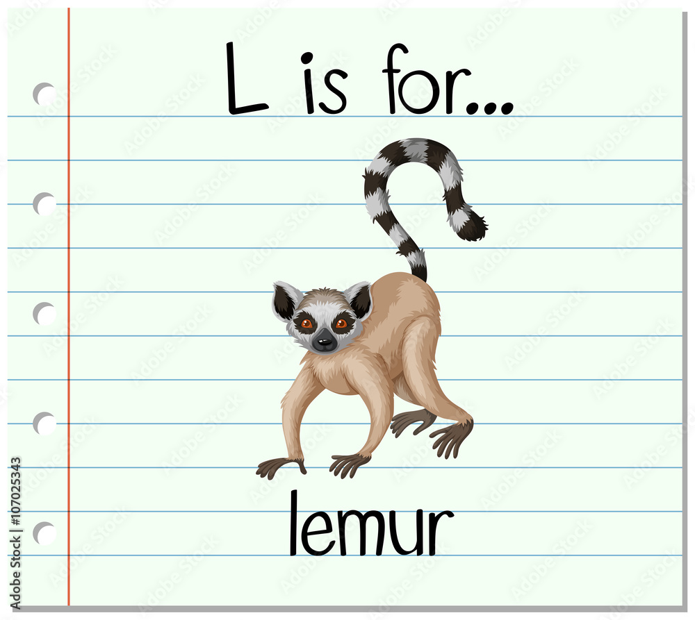 抽认卡字母L代表狐猴