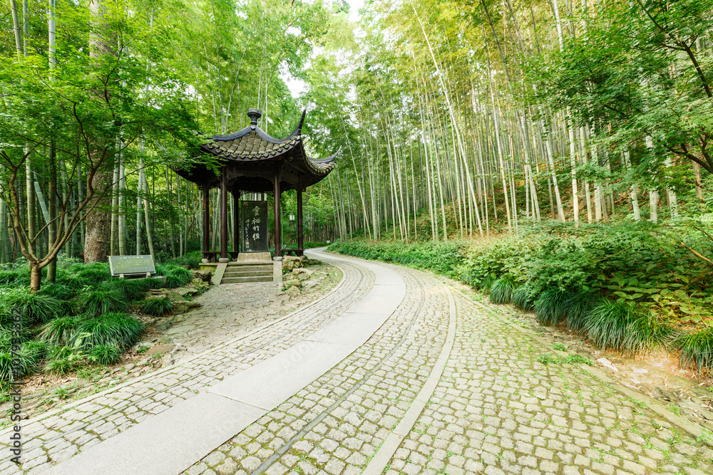 中国杭州著名风景区竹林步道