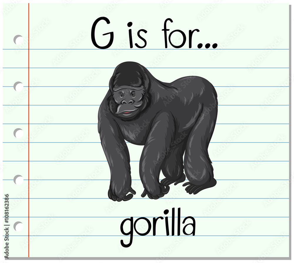 抽认卡字母G代表大猩猩