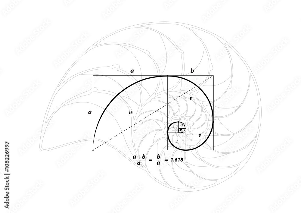 Golden section (ratio, divine proportion) and golden spiral on black and Shell line