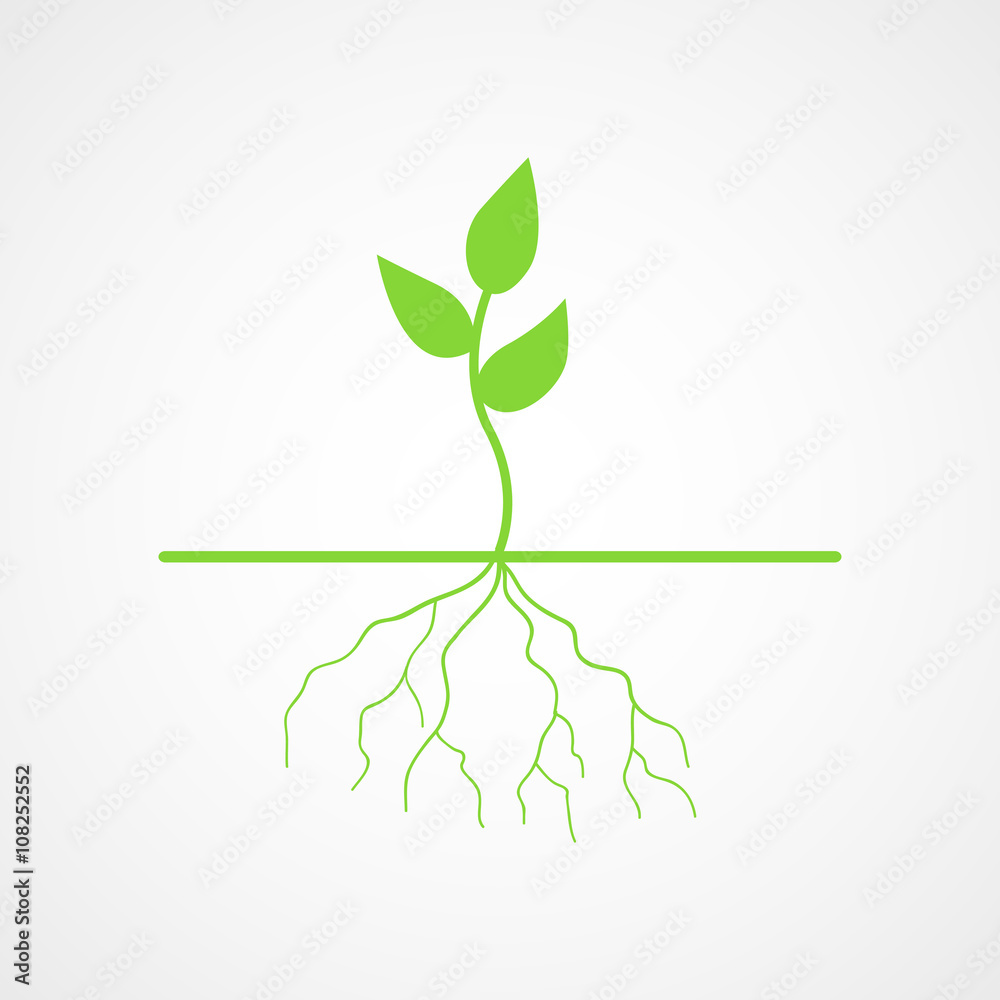 Graphic illustration of young tree with root