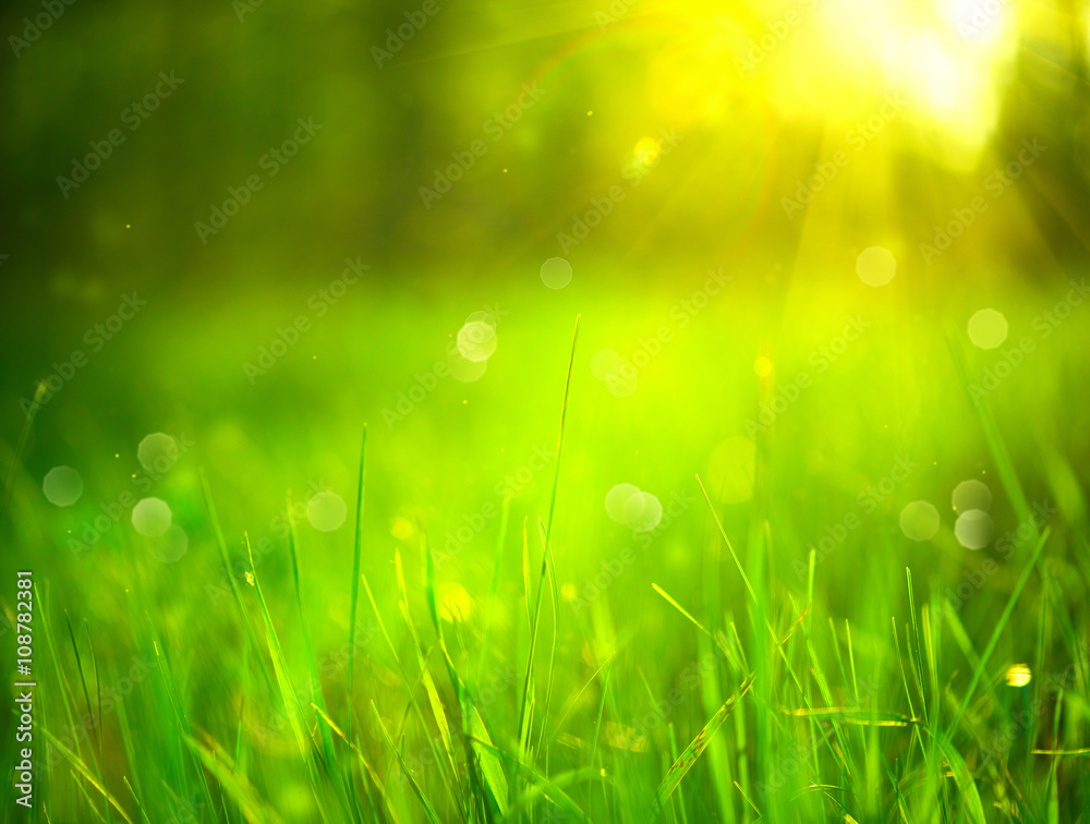 自然模糊的背景。春天公园里的绿草，背景是太阳耀斑