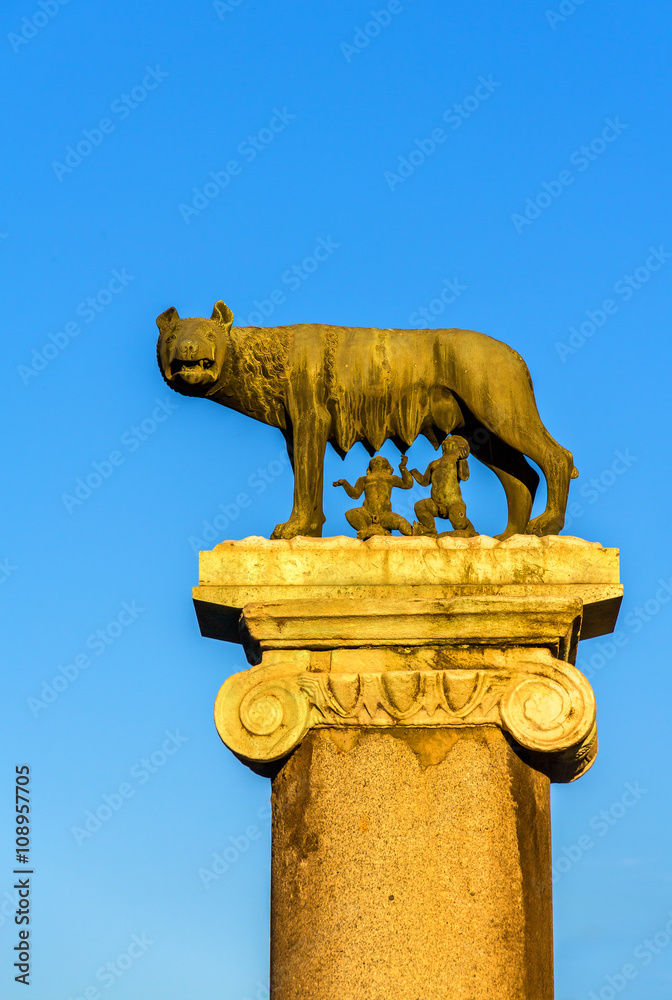 Capitoline Wolf statue in Rome, Italy