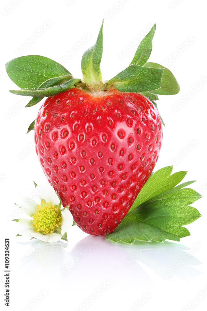 Erdbeere Beere Frucht mit Blätter Freisteller freigestellt isol
