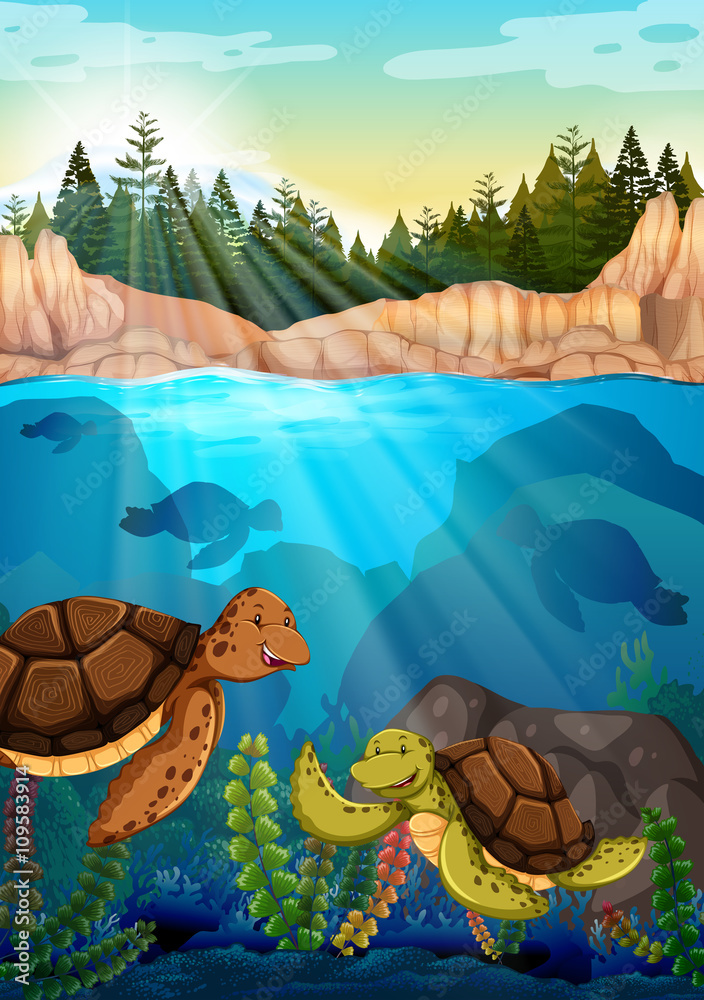 海龟在海底游泳