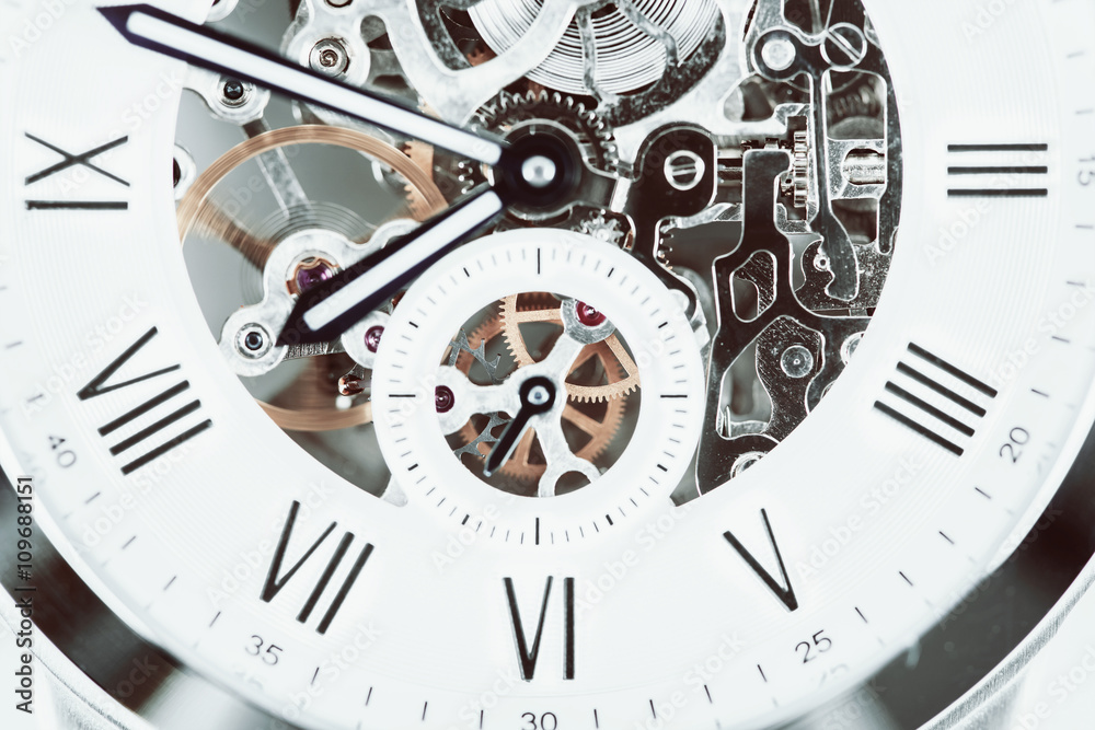 带可视机制的自动男士手表的复古滤镜