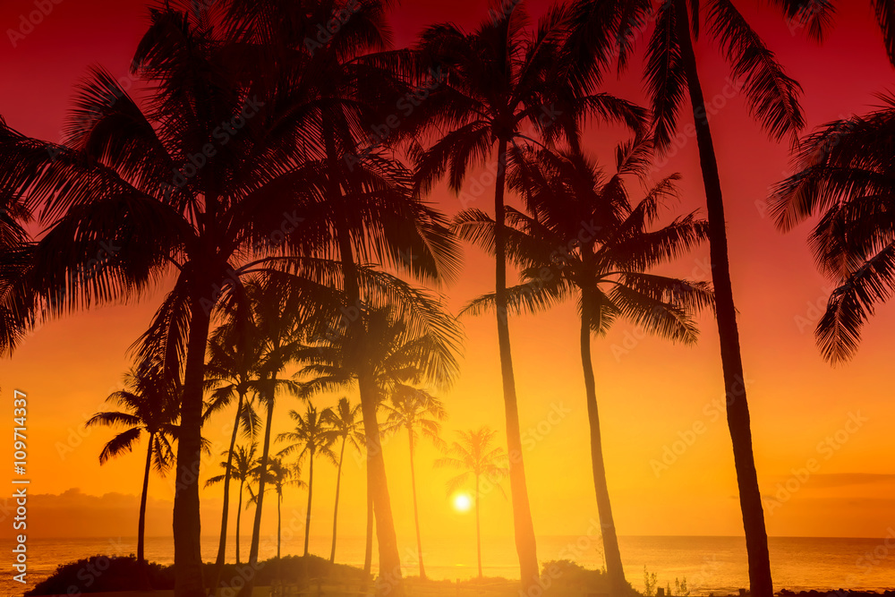 Tropical island sunset with silhouette of palm trees, hot summer day vacation background, golden sky