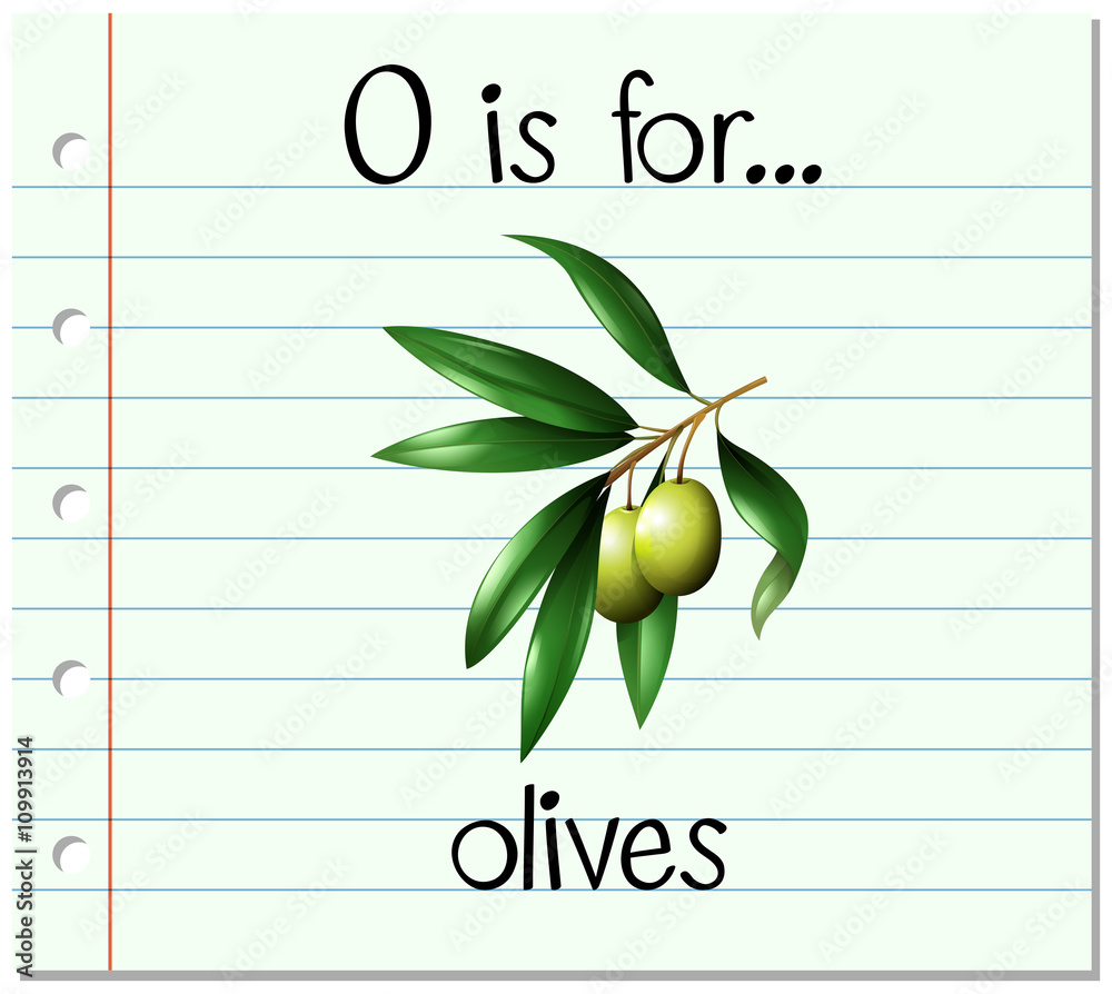 抽认卡字母O代表橄榄