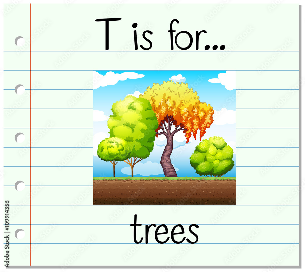 抽认卡字母T代表树木