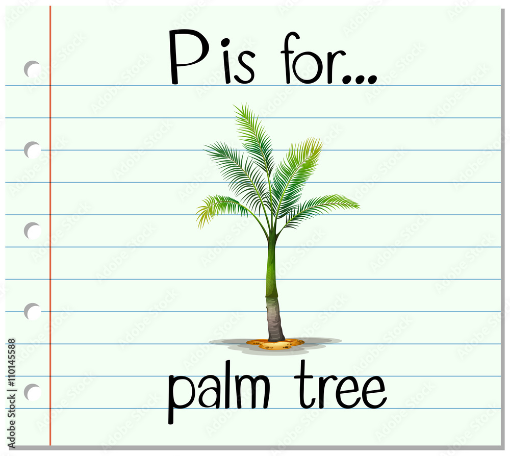 抽认卡字母P代表棕榈树