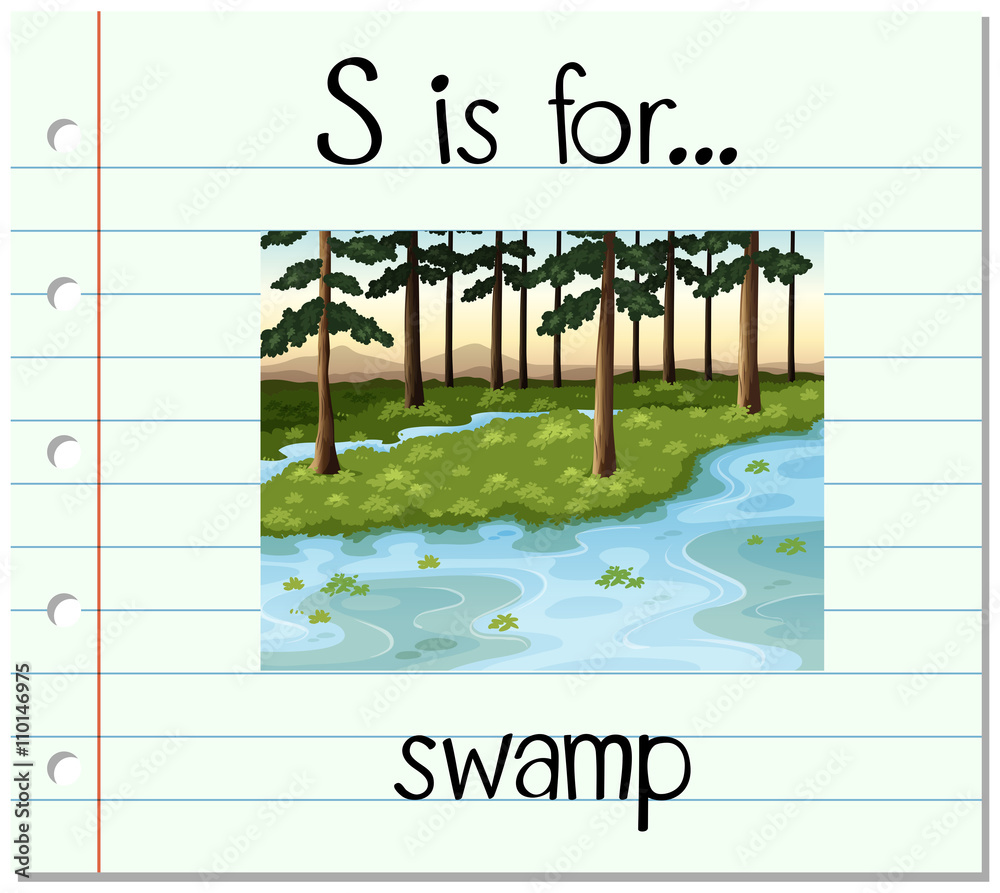 抽认卡字母S代表沼泽