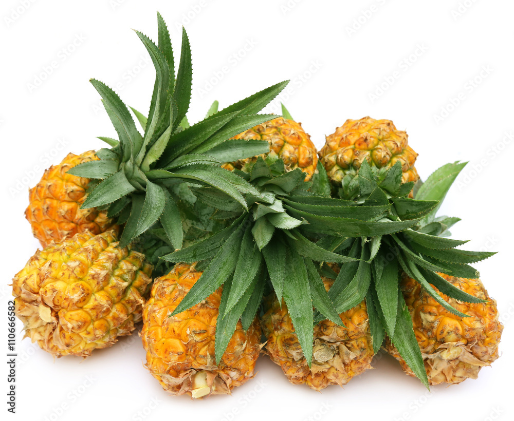 Popular honey queen pineapple of Bangladesh