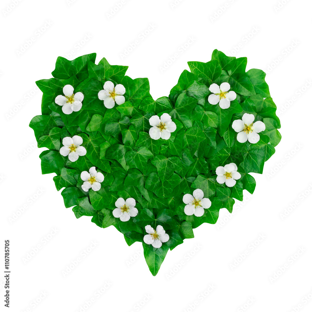由常春藤叶子和白花制成的绿色心形图案。由绿色制成的创造性自然排列