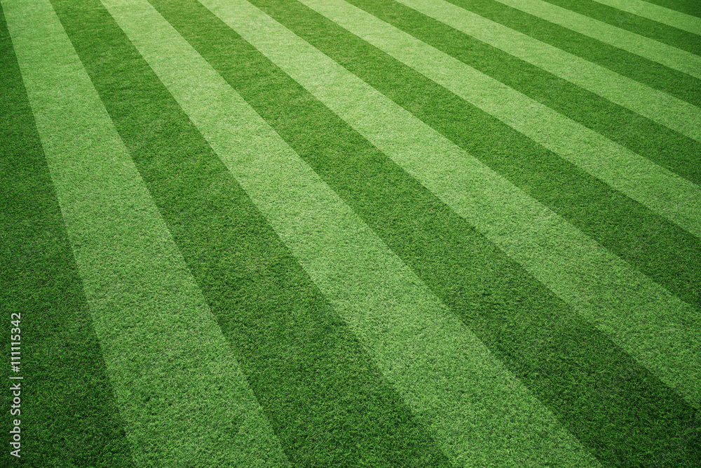 阳光明媚的足球场人造绿草背景。