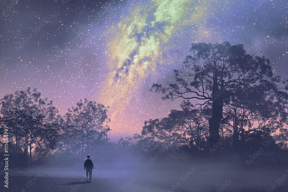 一个人站在乳白色的道路上，树影、夜空、风景插图