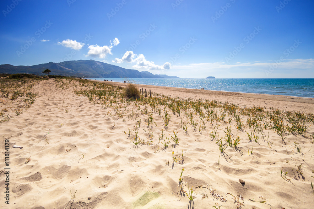 希腊拉加纳斯湾扎金索斯海滩上的沙丘