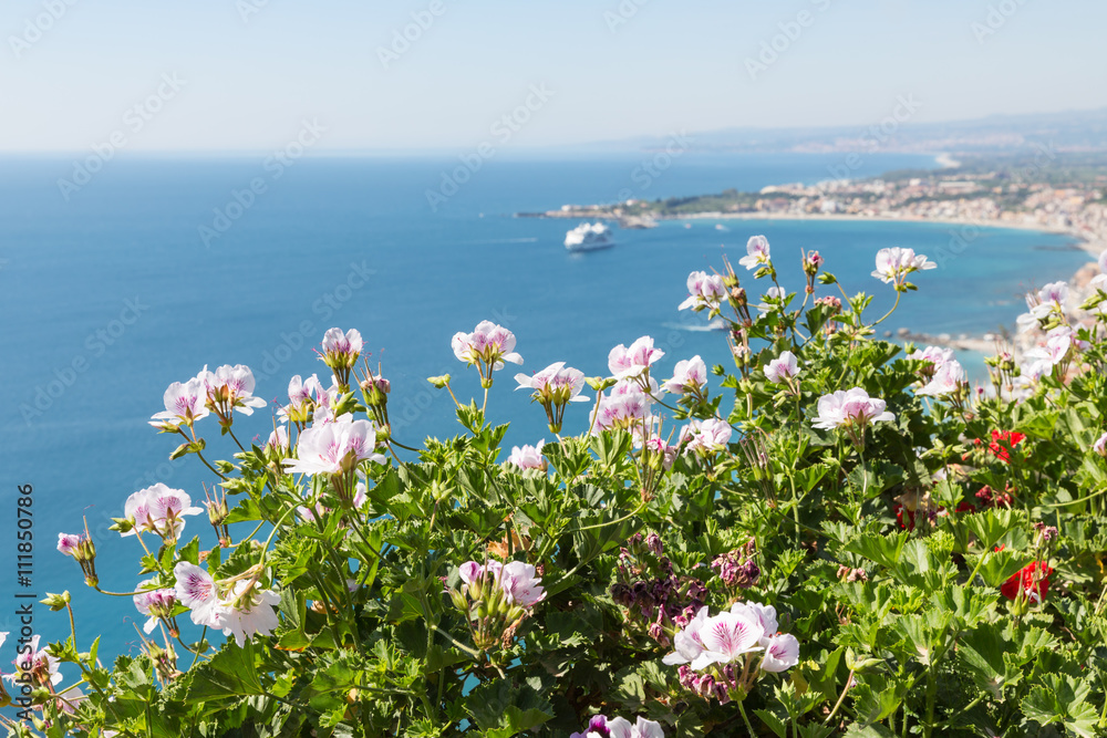 西西里岛的天竺葵花与海景