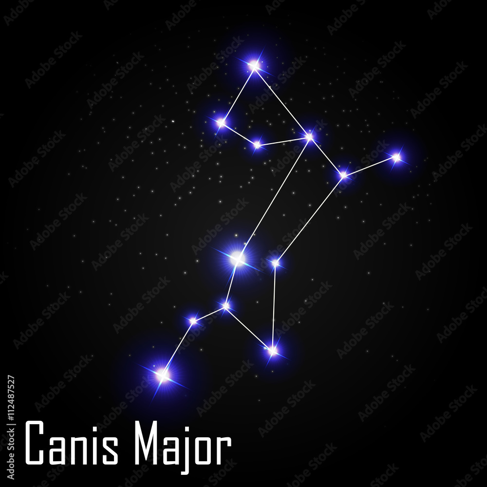 Canis Major Constellation with Beautiful Bright Stars on the Bac