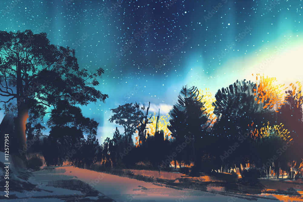 森林中树木上方的星空，夜景，插图