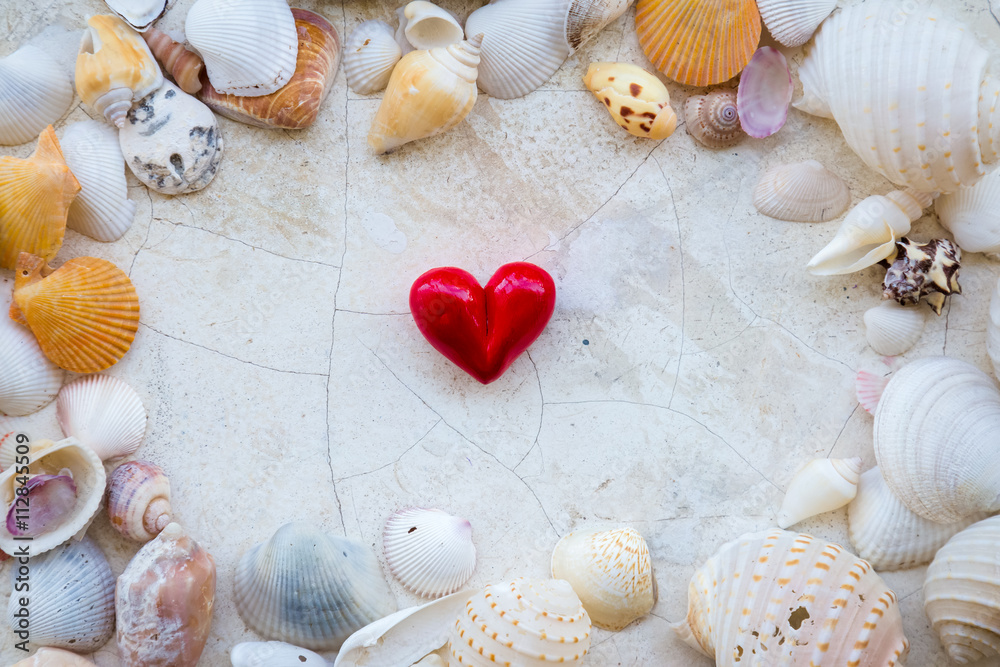 红色心形和白色c上的贝壳框架的爱情概念