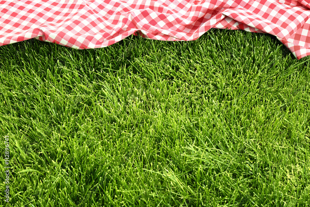草地上的野餐布