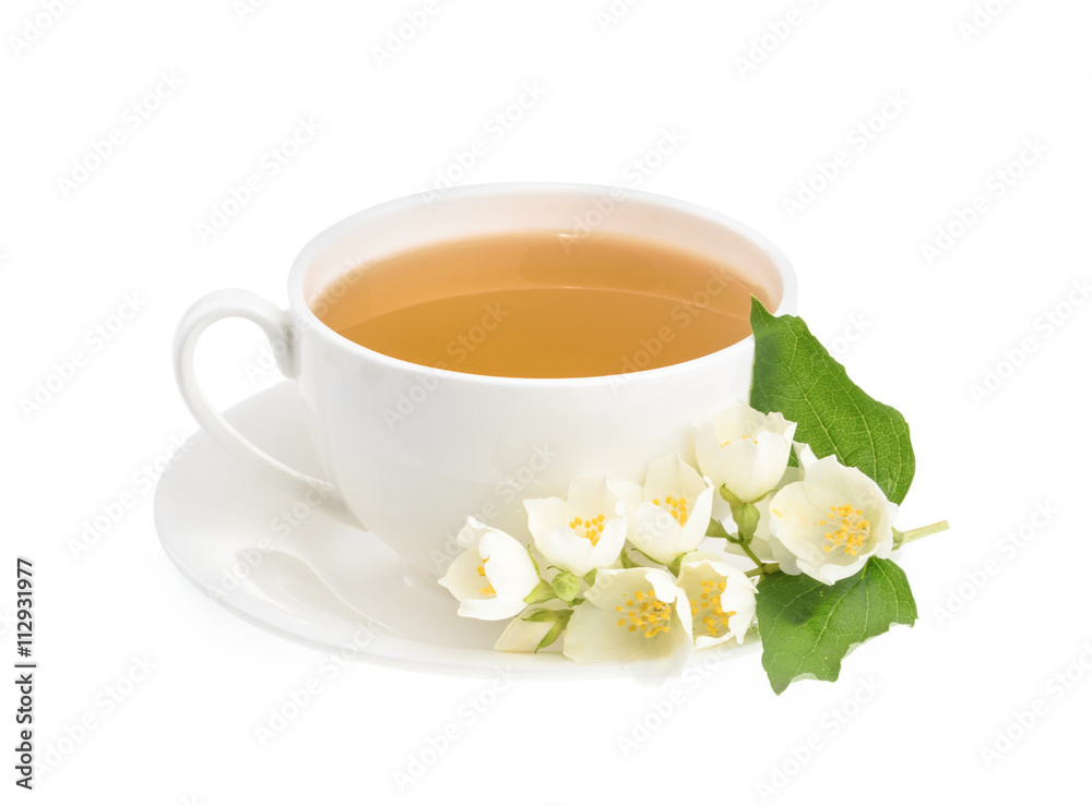 一杯在白背上隔离的茉莉花绿茶